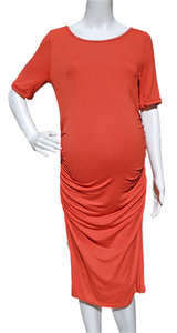 Isabella Oliver Coral Knit Dress